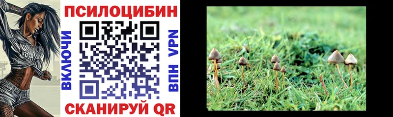 Галлюциногенные грибы Cubensis  где купить   Саяногорск 